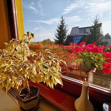 Apartmán Adrianka Turčianske Teplice Esterno foto