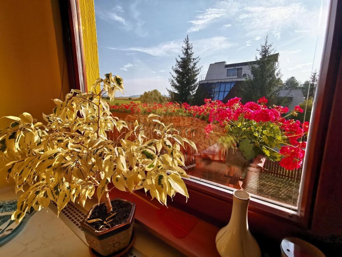 Apartmán Adrianka Turčianske Teplice Esterno foto